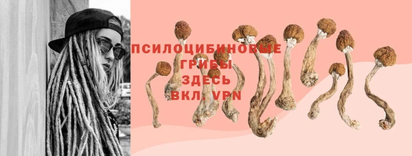 герыч Зеленодольск