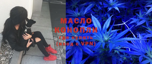 сатива Зеленокумск