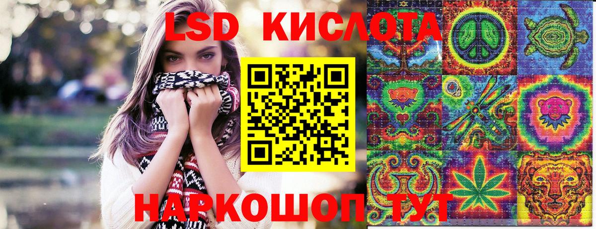 Свободный  Наркотические марки  Вход с VPN  Наркотические марки 1,5мг 