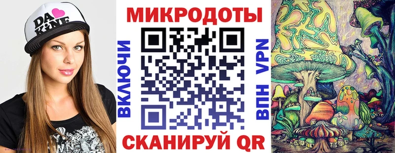 Псилоцибиновые грибы Psilocybe  Свободный 