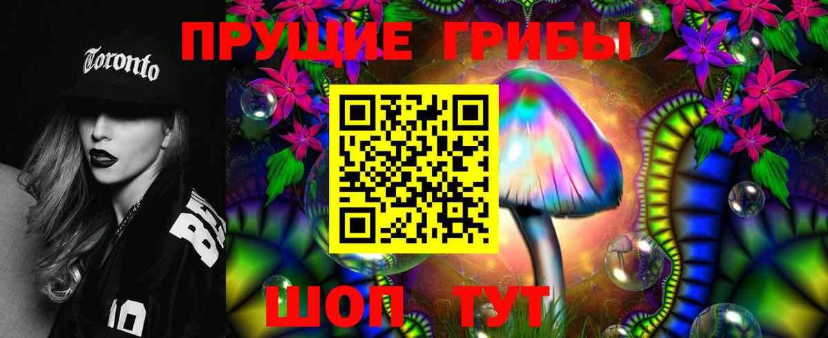 Галлюциногенные грибы прущие грибы  Псилоцибиновые грибы Psilocybine cubensis  Свободный  Вход с VPN 